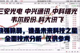 三安光电 韦尔股份 中兴通讯 中科曙光 科大讯飞 谁是科技之王？视频封面