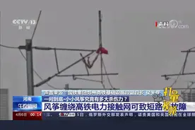 杀伤力极高！风筝缠绕高铁电力接触网可致短路等故障视频封面