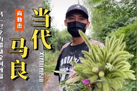 河南小伙堪称当代马良，以一己之力带动整个村子致富！视频封面