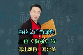 百花之首当属“梅”，三首过目难忘的梅花诗，写出风骨、写出美视频封面