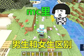 我的世界：男玩家和女玩家的区别，小动物这么可爱为什么要吃？视频封面