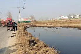 河南暴雨过后，玉米地成河，村民都来逮鱼，一条大鱼引来众人围观视频封面