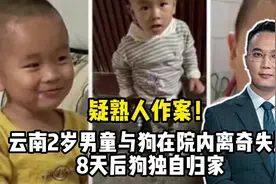 疑熟人作案！云南2岁男童与狗在院内离奇失踪，8天后狗独自归家视频封面