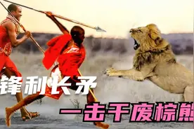 最适合近距离偷袭猎物的冷兵器，一矛干穿野猪棕熊根本不在话下视频封面