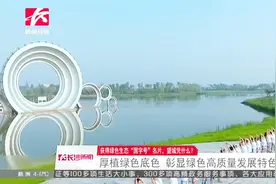 望城区荣获“国家生态文明建设示范区”称号  彰显绿色高质量发展视频封面