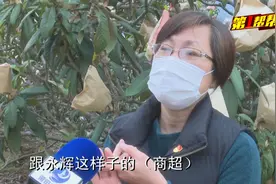种植700棵枇杷树，如今到了上市时节，却遇枇杷销售困境视频封面