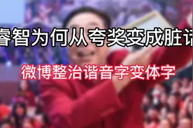 睿智为何从夸奖变成脏话？整治谐音字变体字使用视频封面