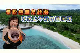 《瓦努阿图》第20集：赶海收获一条上千元燕尾斑，澳洲朋友惊呆了视频封面