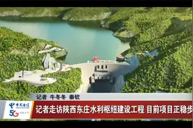 记者走访陕西东庄水利枢纽建设工程 目前项目正稳步推进视频封面