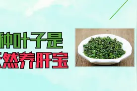 1种叶子是天然“养肝宝”，没事泡水喝，清肝排毒，肝病不来扰视频封面