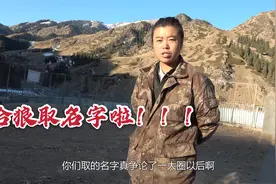 期待已久的给狼取名来了！养狼人对狼上演咸猪手，安个名字真费劲视频封面