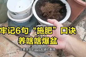 不管你养什么花，牢记6句施肥“口诀”视频封面