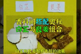 香料间搭配的奥秘，白芷和良姜的组合！