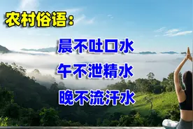 “晨不吐口水，午不泄精水，晚不流汗水”是啥意思？中年人了解下视频封面