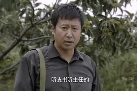 太行赤子：大哥下乡扶贫神速，没想到果园都救活，百姓乐疯了视频封面