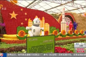 共享绿色盛会！寿光菜博会盛大开幕，12个展馆带你感受生态之美视频封面