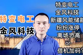 特变电工 金风科技 新疆风能储能纷纷涨停 离场恐高or借机加码？视频封面
