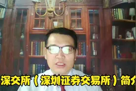 2.3 深交所（深圳证券交易所）简介.mp4视频封面