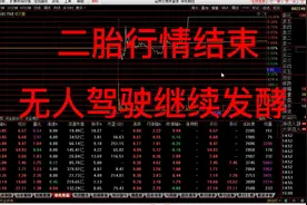 金发拉比停牌负面冲击，二胎行情结束。无人驾驶能否持续看梯队视频封面