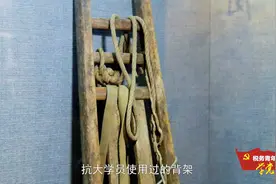 税务青年学党史丨弘扬“大背粮”英雄精神 昂首税务新征程视频封面