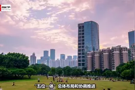 湾区深音丨胡乐乐：经济良性发展与良好生态环境存在紧密关联视频封面