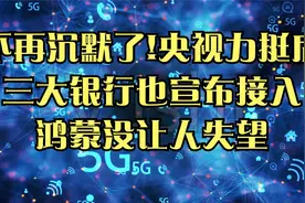不再沉默了!央视力挺后，三大银行也宣布接入，鸿蒙没让人失望视频封面