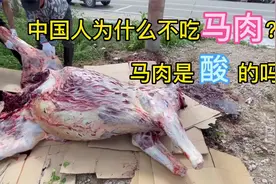 奇怪！为什么中国人不吃马肉？马肉真的是酸的吗？视频封面