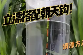 详细解析：立漂搭配朝天钩的调漂法，都说很难，但掌握技巧很简单视频封面