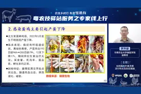 禽流感怎么防？当前国内外禽流感的流行特点及防控措施丨罗开健视频封面