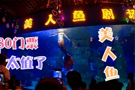 石家庄动物园美人鱼表演，80元门票的海洋馆太美了！视频封面