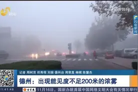 德州大雾天气基本结束，京台高速济南方向沿线收费站恢复通行视频封面