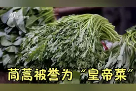 茼蒿被誉为“皇帝菜”，是中医眼中的宝贝！可以振阳气、促消化视频封面