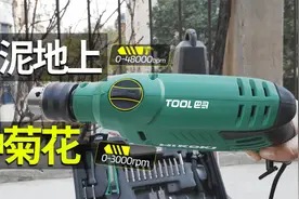 还有这操作？水泥地上种菊花视频封面