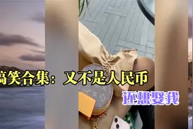 搞笑合集：又不是人民币，还想娶我视频封面