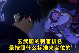 玄武国的刺客排名是按照什么标准来定位的视频封面
