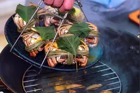 风寒感冒最怕1“叶”，煮水代茶饮，散寒解表，呼吸通畅，不咳嗽视频封面