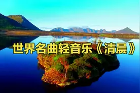 早上最适合听的轻音乐，放松音乐，大自然之音～清晨鸟鸣声水声