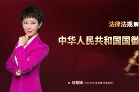 《国徽法》解读：维护国徽的尊严，增强公民的国家观念视频封面