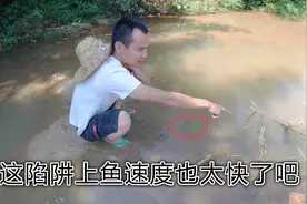 陆地上的自动捕鼠神器“挑战”河沟捕鱼，不料上鱼速度也太快了！视频封面