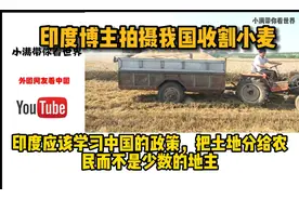 印度博主拍摄我国收割小麦，印网友：农业上印度领先中国视频封面