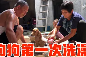 三个月小狗第一次洗澡，两位老人伺候，超享受的模样让人都羡慕了视频封面