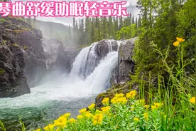 云鬓花颜金步摇，芙蓉帐暖度春宵。视频封面