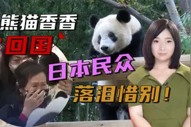 顶流女明星大熊猫香香回国，日本民众含泪道别：以后要去中国看视频封面