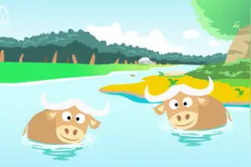 水牛为什么喜欢泡在水里？视频封面