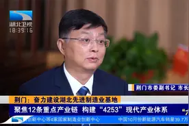 专访荆门市委副书记、市长李涛 ：奋力建设湖北先进制造业基地视频封面