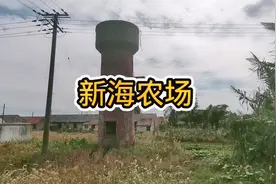 重返上海崇明第六个农场“新海农场”一代知青留下感人至深的痕迹视频封面