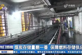 煤炭储存量翻一番！山东能源保障燃料储存供应，电力实现应发尽发视频封面