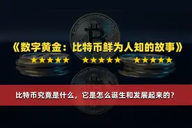 比特币究竟是什么，它是怎么诞生和发展起来的？视频封面