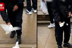 景区回应男子多次抓鸽子还薅掉一把毛：将加强巡逻视频封面