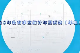 2020年教育事业统计年报系统（单机版）视频封面